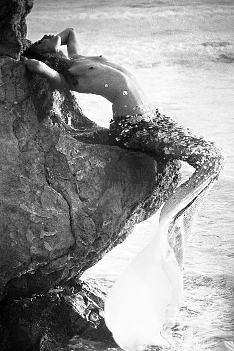 sexi fishing - f87a707d2bd83238901d478ed0823227.jpg